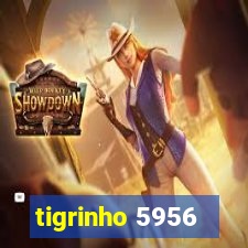 tigrinho 5956